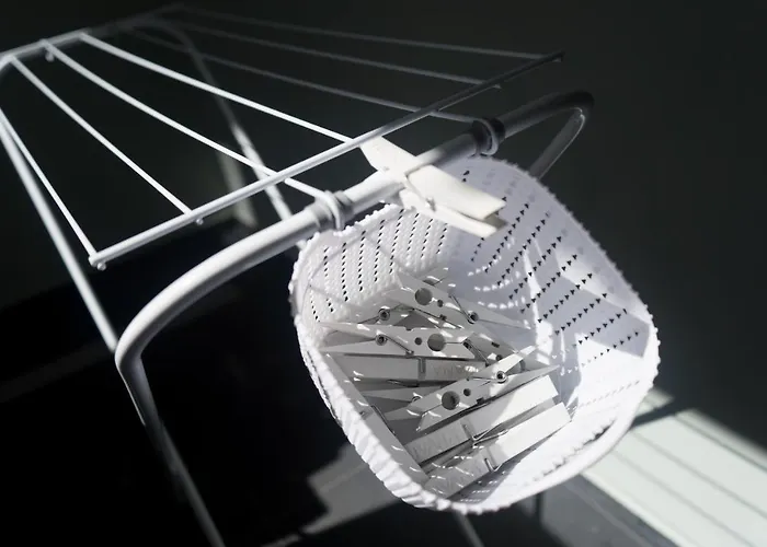 Domus - Cicerone - *